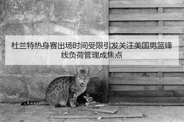 杜兰特热身赛出场时间受限引发关注美国男篮锋线负荷管理成焦点