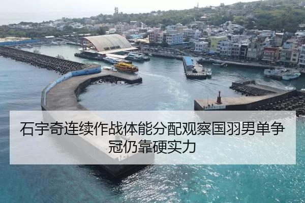 石宇奇连续作战体能分配观察国羽男单争冠仍靠硬实力 | bandaoyule